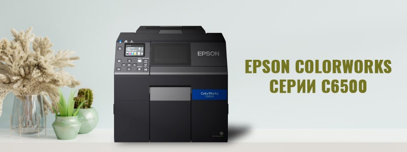 Epson ColorWorks серии C6500_3-min