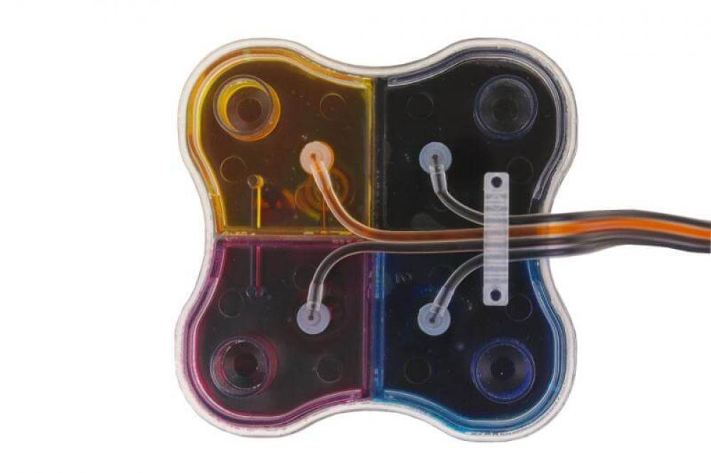изображение СНПЧ Epson Stylus SX430W - изображение 2