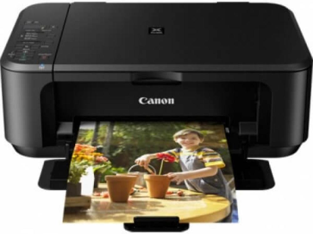 изображение МФУ Canon PIXMA MG2240 с СНПЧ - изображение 1