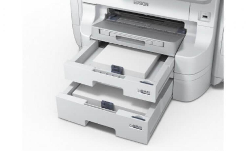 изображение МФУ Epson WorkForce Pro RIPS WF-R8590DTWF - изображение 4